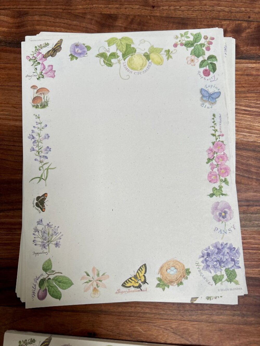 Creative Papers by C.R. Gibson Stationary